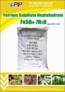 FERROUS SULPHATE HEPTAHYDRATE FeSO4.7H2O